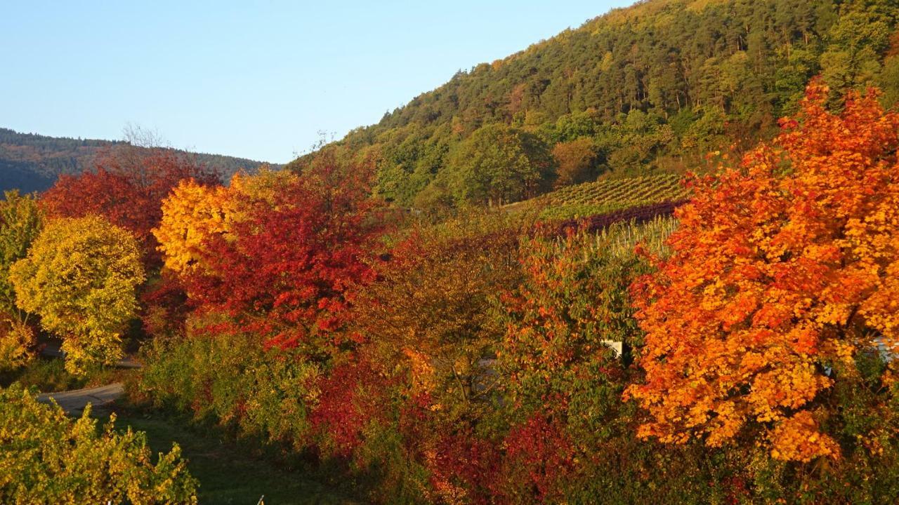 Gaestehaus Moni Jaeger Weyher ภายนอก รูปภาพ
